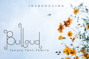 Bulleud Typeface for Elegant Editorial Design