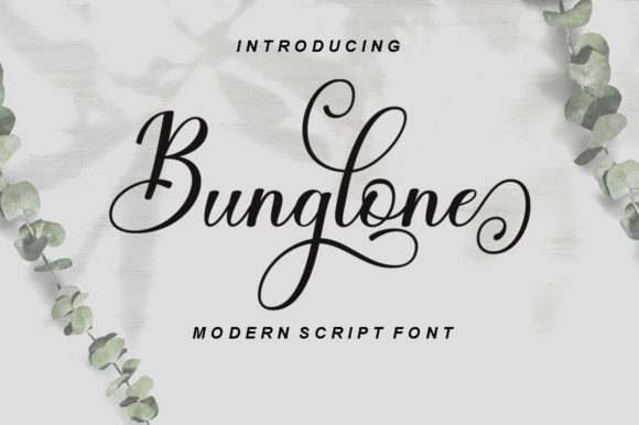 Bunglone: A Modern Script Font for Branding