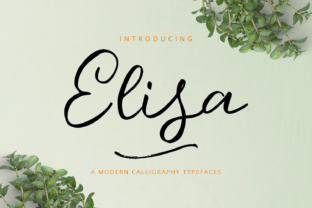 Elisa: A Modern Script Handwritten Font for Editorial Design