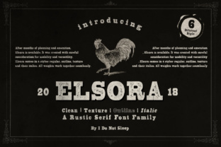 Elsora: A Vintage Sans Serif Font for Web Design