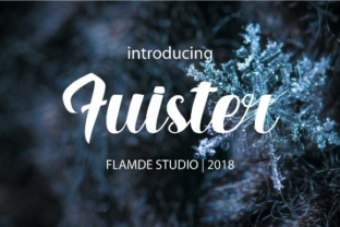 Fuister Script Typeface for Bold Branding