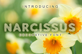 Narcissus Font for Bold Campaign Headlines