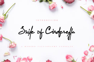 Smile of Cinderella Font Review for Campaigns